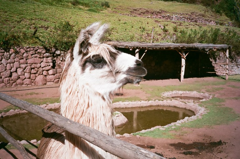 24966729624_a3bc193efa_o