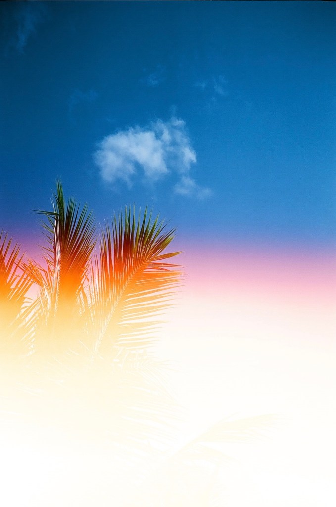 24969241483_1e995e8549_o