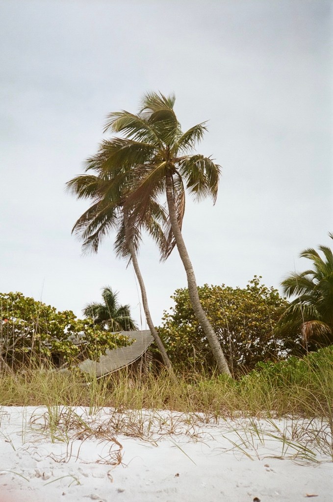 24969624713_28d1a74769_o