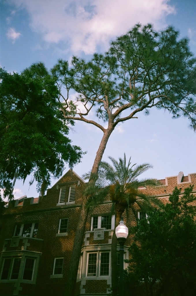 24969717633_b0b617370d_o